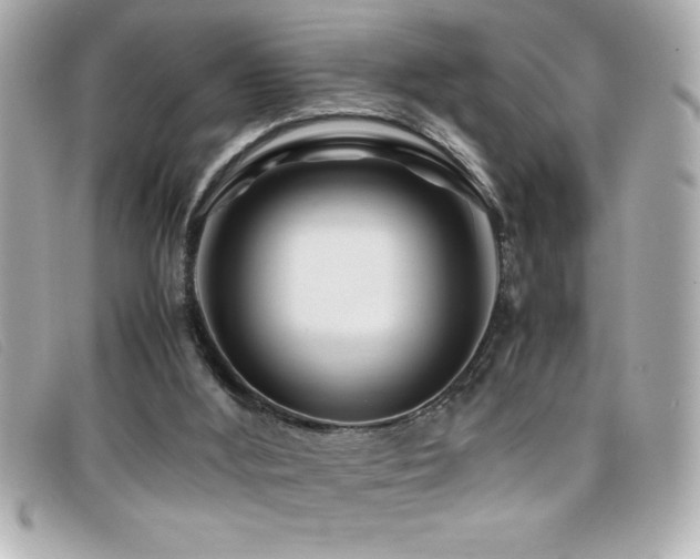 X0000099470012200805091557