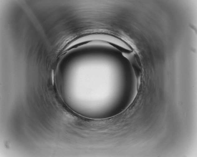 X0000099470013200805091557