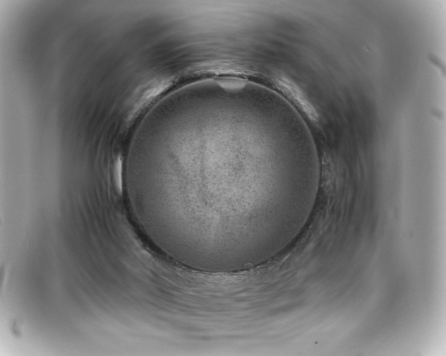 X0000099470014200805091557