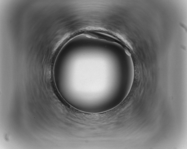 X0000099470015200805091557