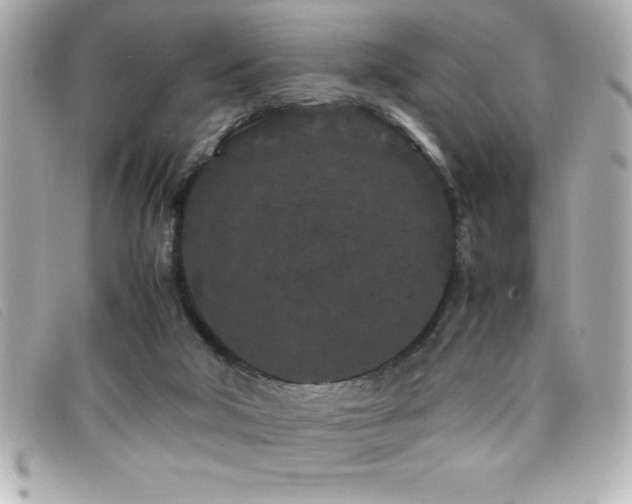 X0000099470018200805091557