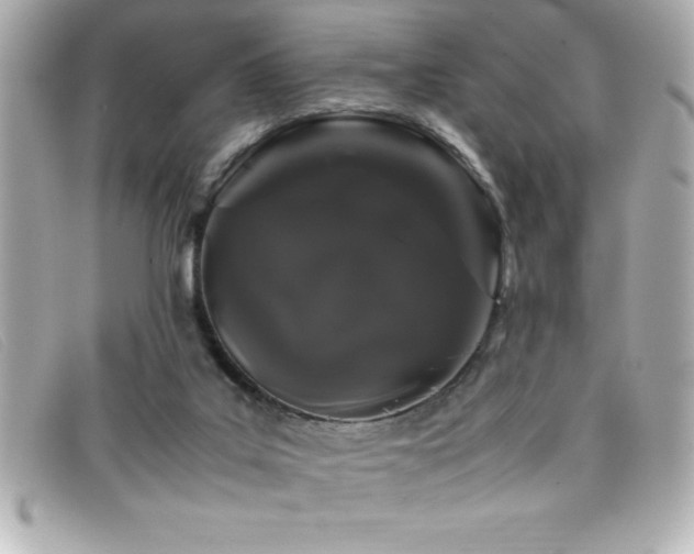 X0000099470019200805091557