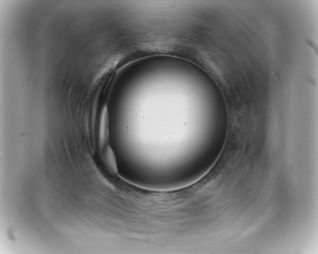 X0000099470020200805091557