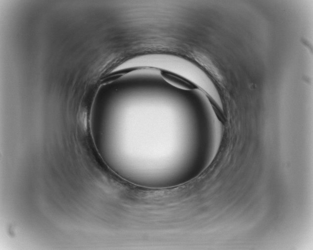 X0000099470021200805091557