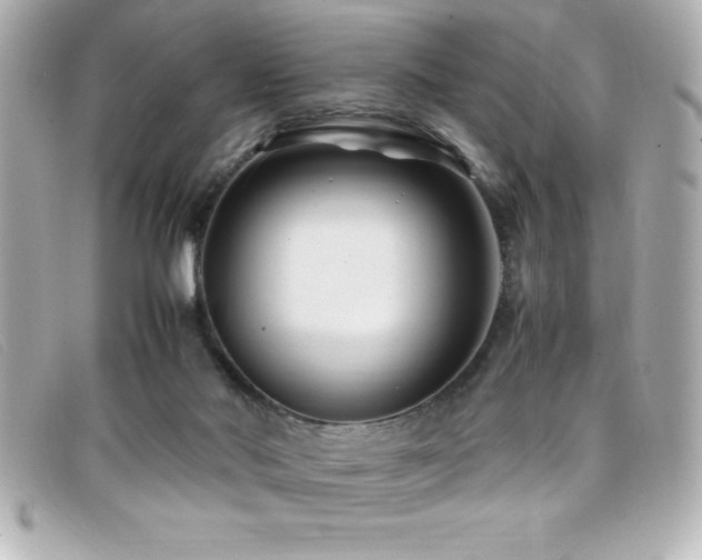 X0000099470022200805091557