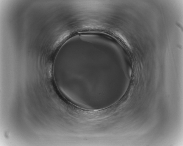 X0000099470023200805091557