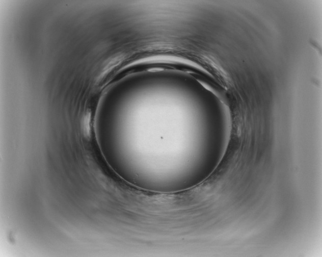 X0000099470024200805091557
