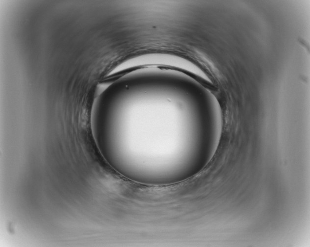 X0000099470025200805091557