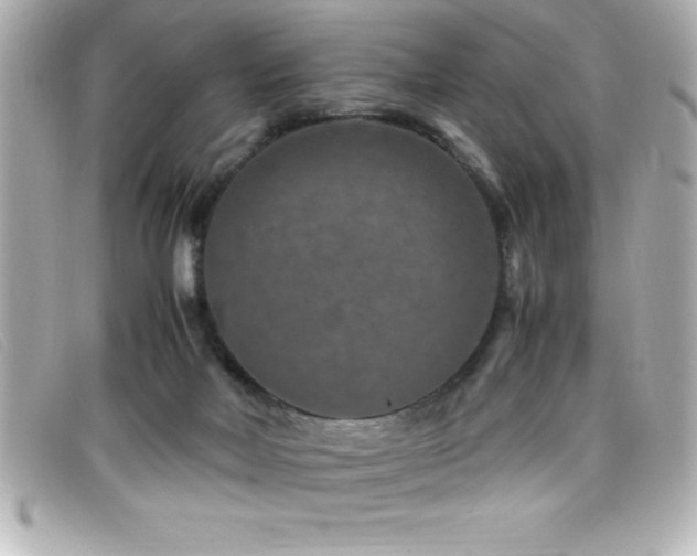 X0000099470026200805091557