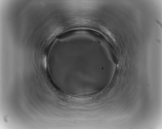 X0000099470027200805091557