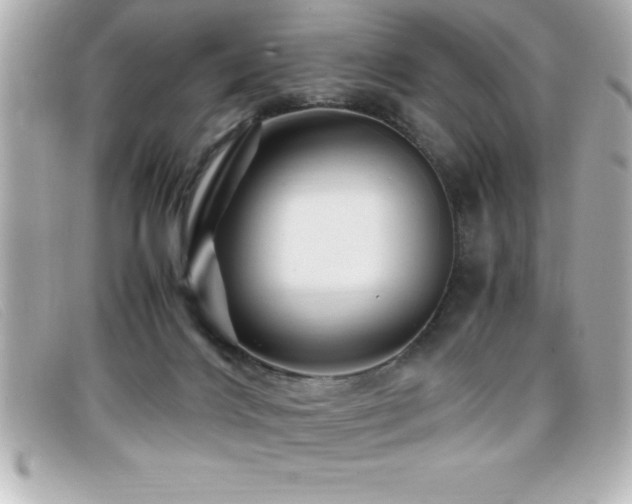 X0000099470028200805091556