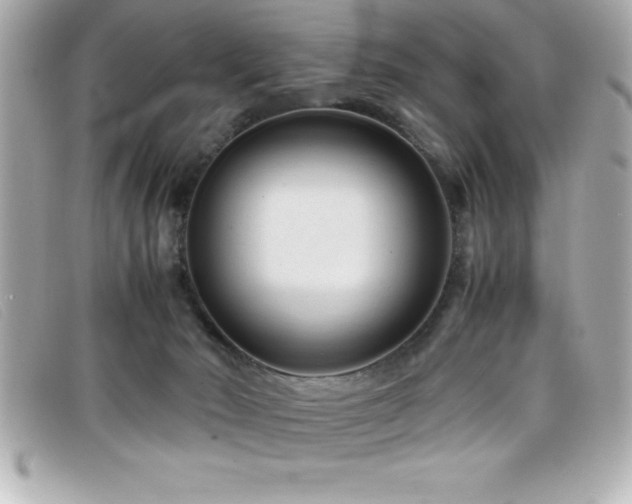 X0000099470030200805091556