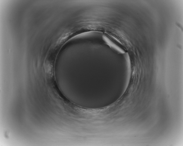 X0000099470031200805091556