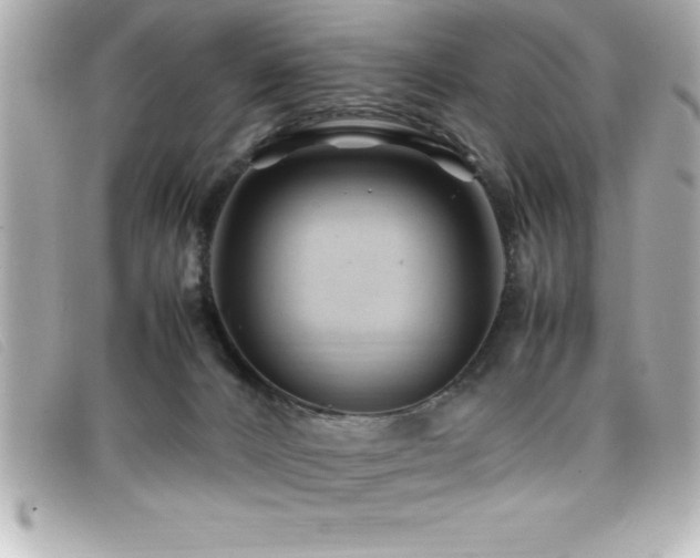 X0000099470032200805091556