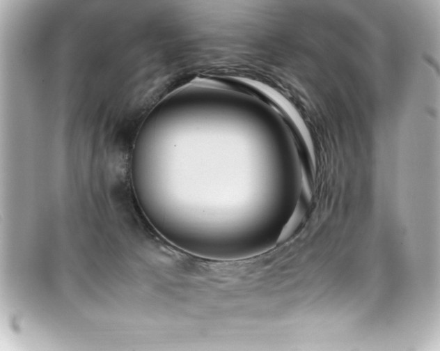 X0000099470033200805091556