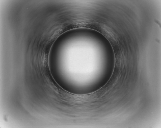 X0000099470034200805091556
