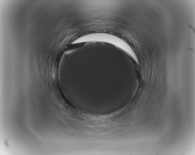 X0000099470035200805091556