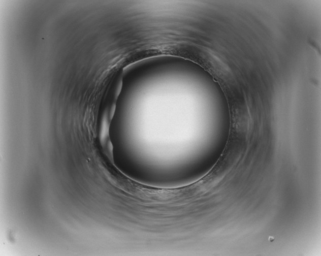 X0000099470036200805091556