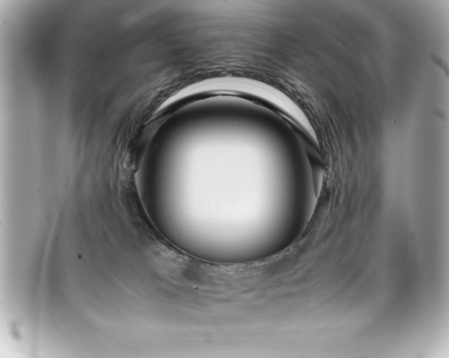X0000099470037200805091556