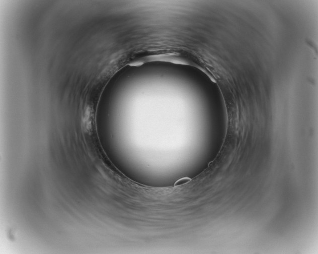 X0000099470038200805091556