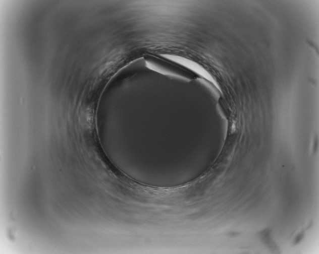X0000099470039200805091556