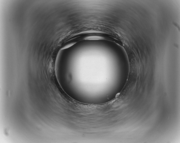 X0000099470040200805091556