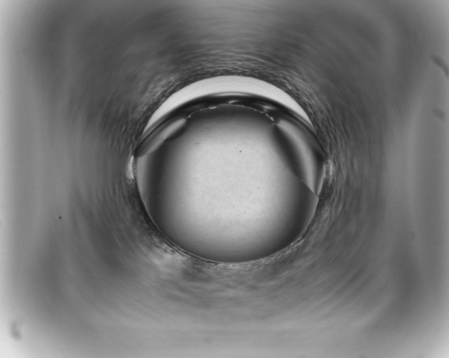 X0000099470041200805091556