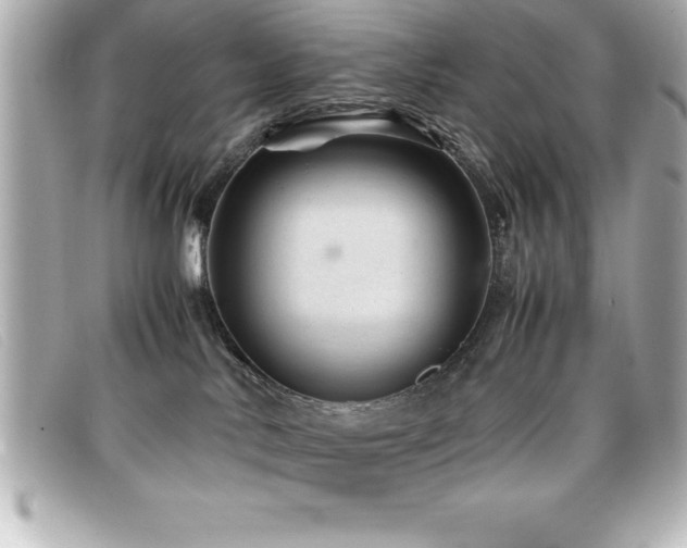 X0000099470042200805091556