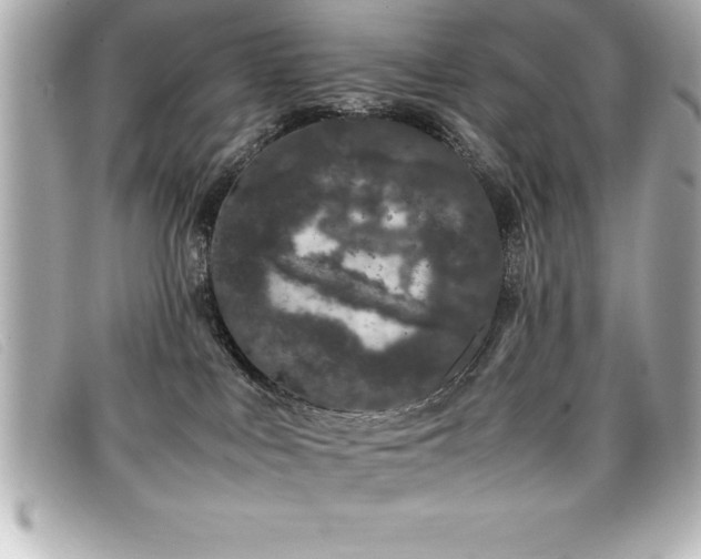X0000099470043200805091556