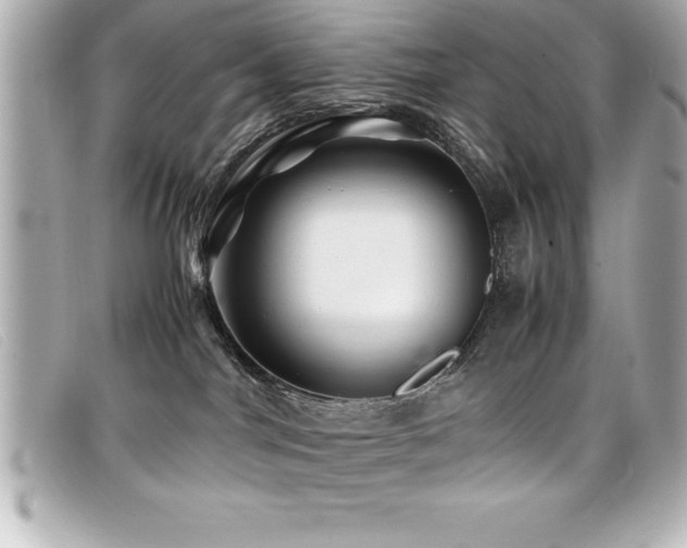 X0000099470044200805091556