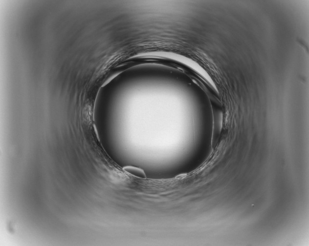 X0000099470045200805091556