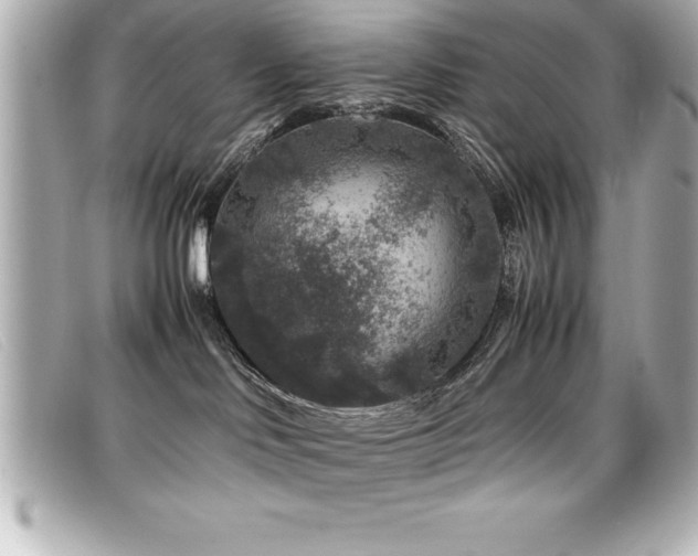 X0000099470046200805091556