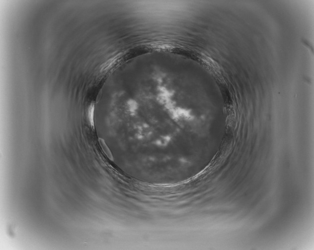 X0000099470047200805091556