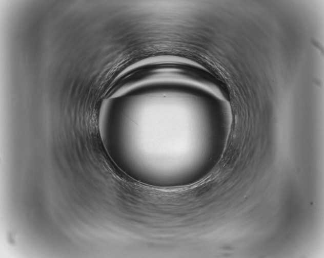 X0000099470048200805091556