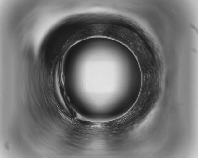 X0000099470050200805091556