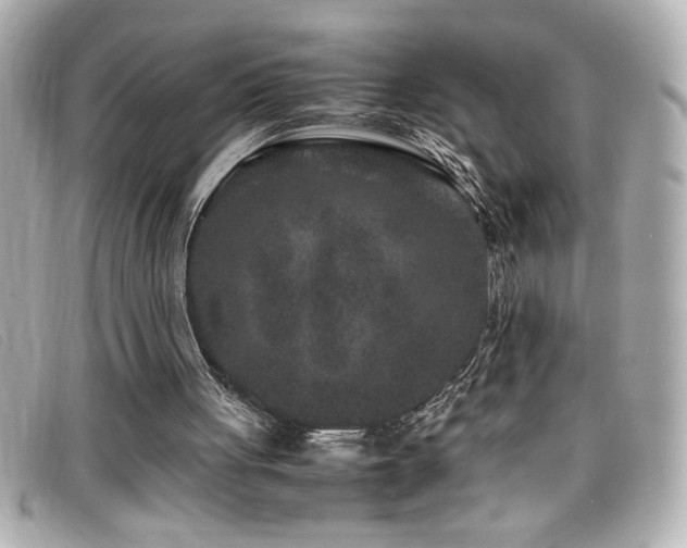 X0000099470051200805091556