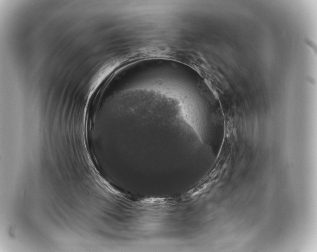 X0000099470052200805091556