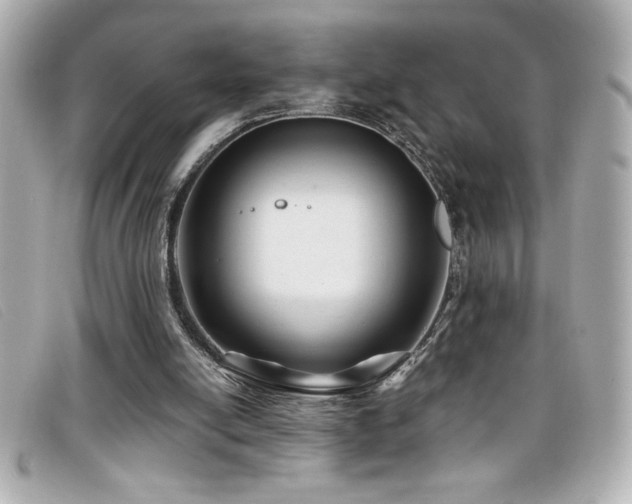 X0000099470054200805091556