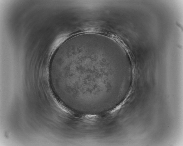 X0000099470055200805091556
