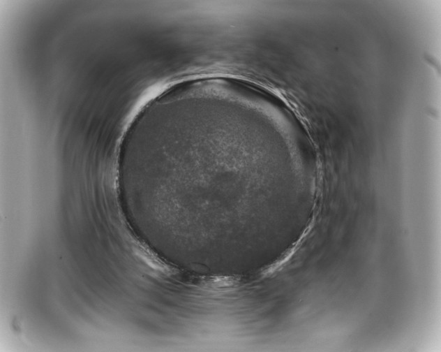 X0000099470056200805091556