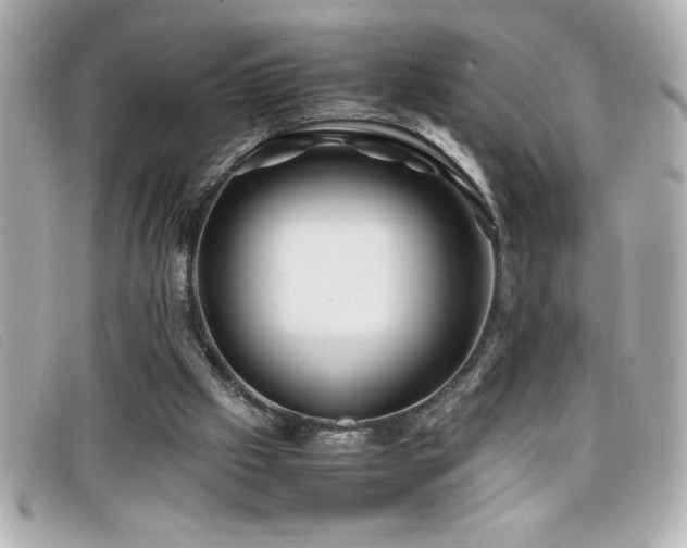 X0000099470057200805091556