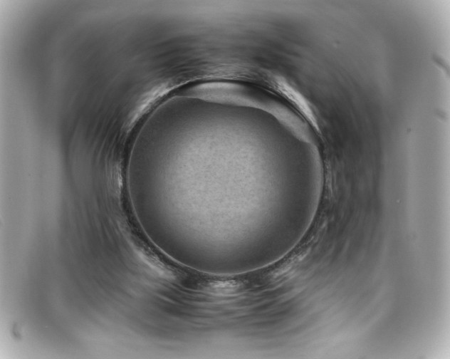 X0000099470059200805091556