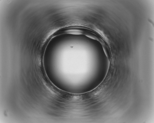 X0000099470060200805091556