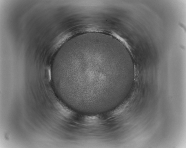 X0000099470061200805091556