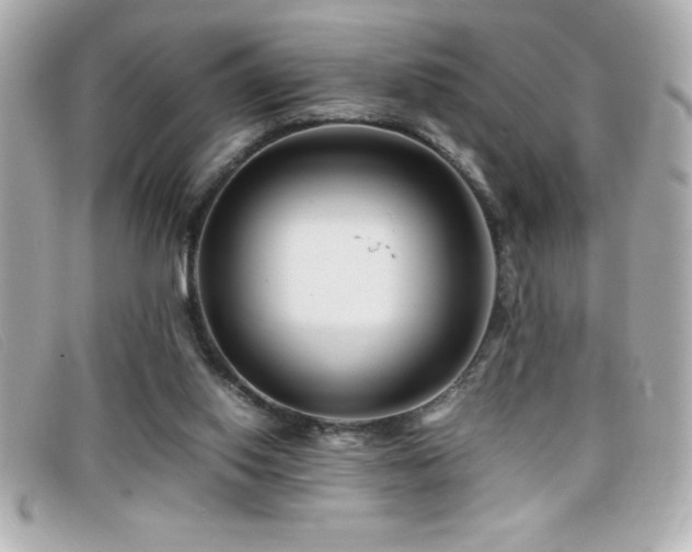 X0000099470062200805091556