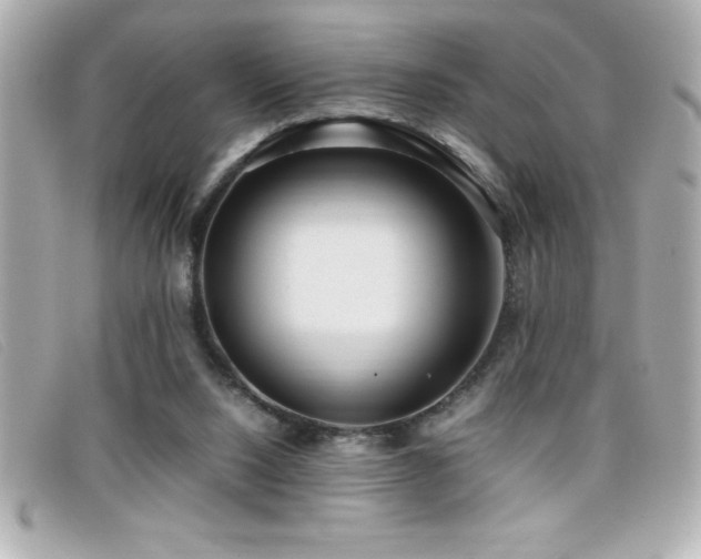 X0000099470064200805091556