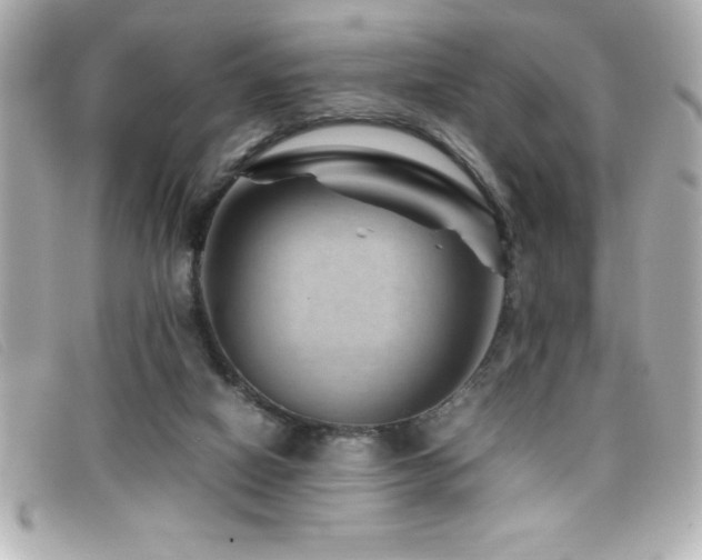 X0000099470066200805091556