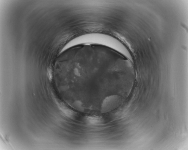 X0000099470069200805091556