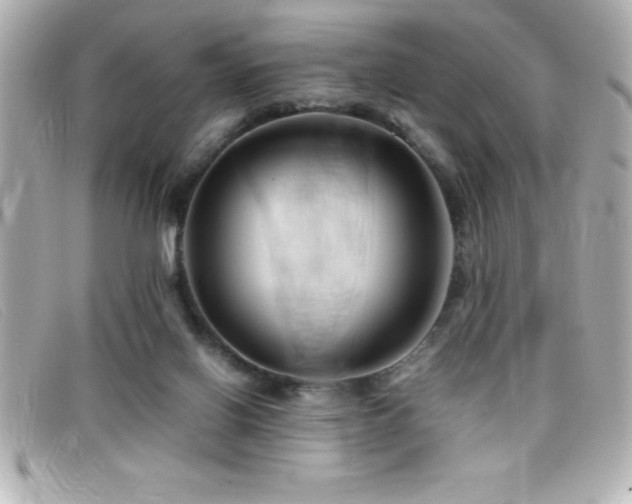 X0000099470070200805091556