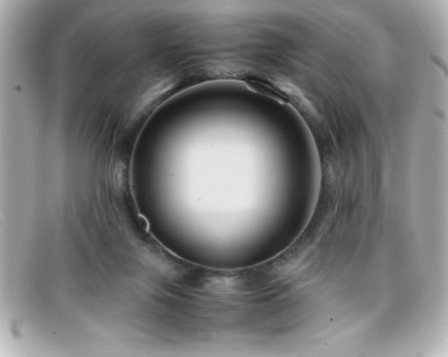 X0000099470071200805091556
